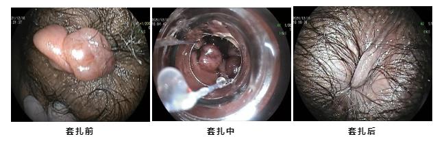 微信截图_20220117105019.jpg