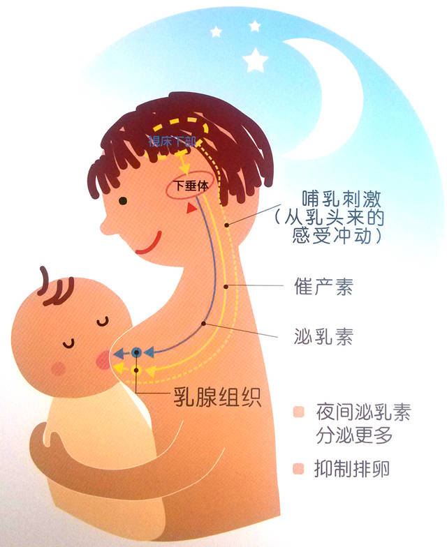 6a6d3c385fd8f02c5a00ae921c3074fe.png 6a6d3c385fd8f02c5a00ae921c3074fe.png