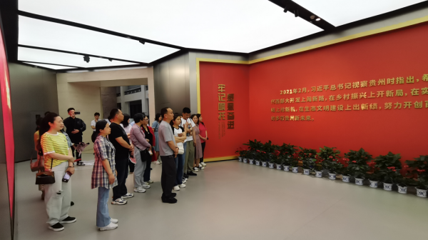 图片 3.png 图片 3.png