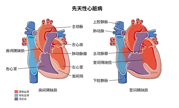 微信图片_20240812111046.jpg