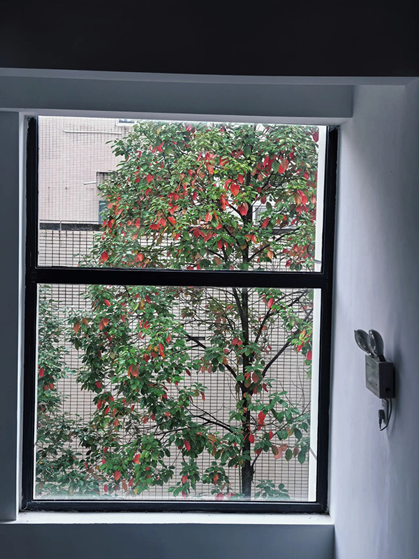 DM_20251118094438_007.jpg