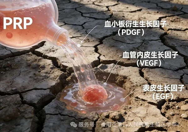 微信图片_20260305101955.jpg